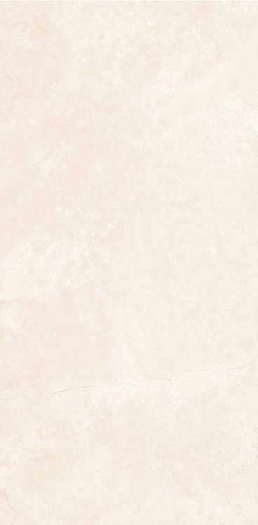 OL Marfil Matte 12 x 24
